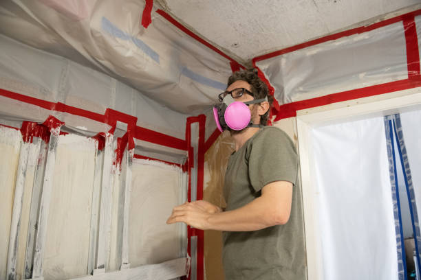 Environmental Consulting for Mold Prevention in Fordoche, LA