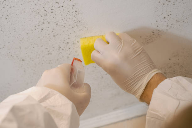 Best Biohazard Mold Removal  in Fordoche, LA